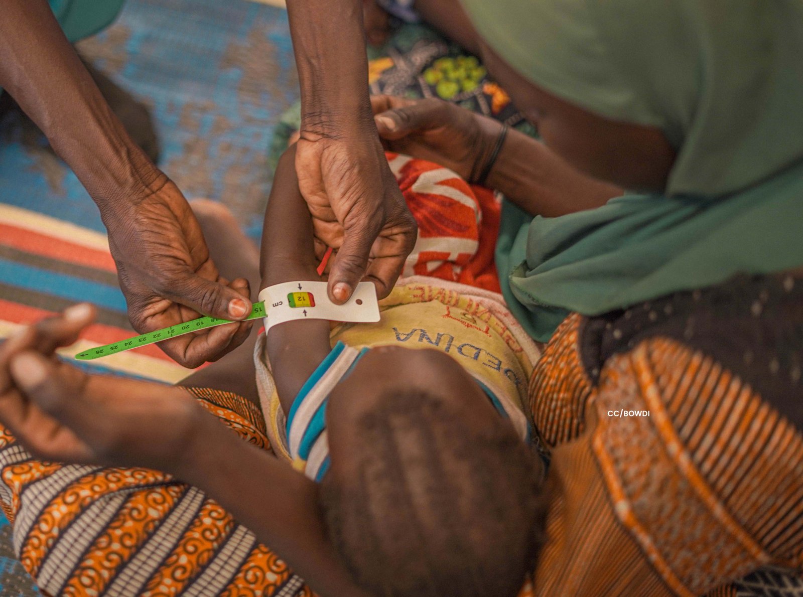 FIFSAN Nutrition Emergency Response (NERBAY)